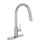 Proflo 1.5 GPM Single Hole Pull Down Kitchen Faucet PFXC4027CP - alternate 1